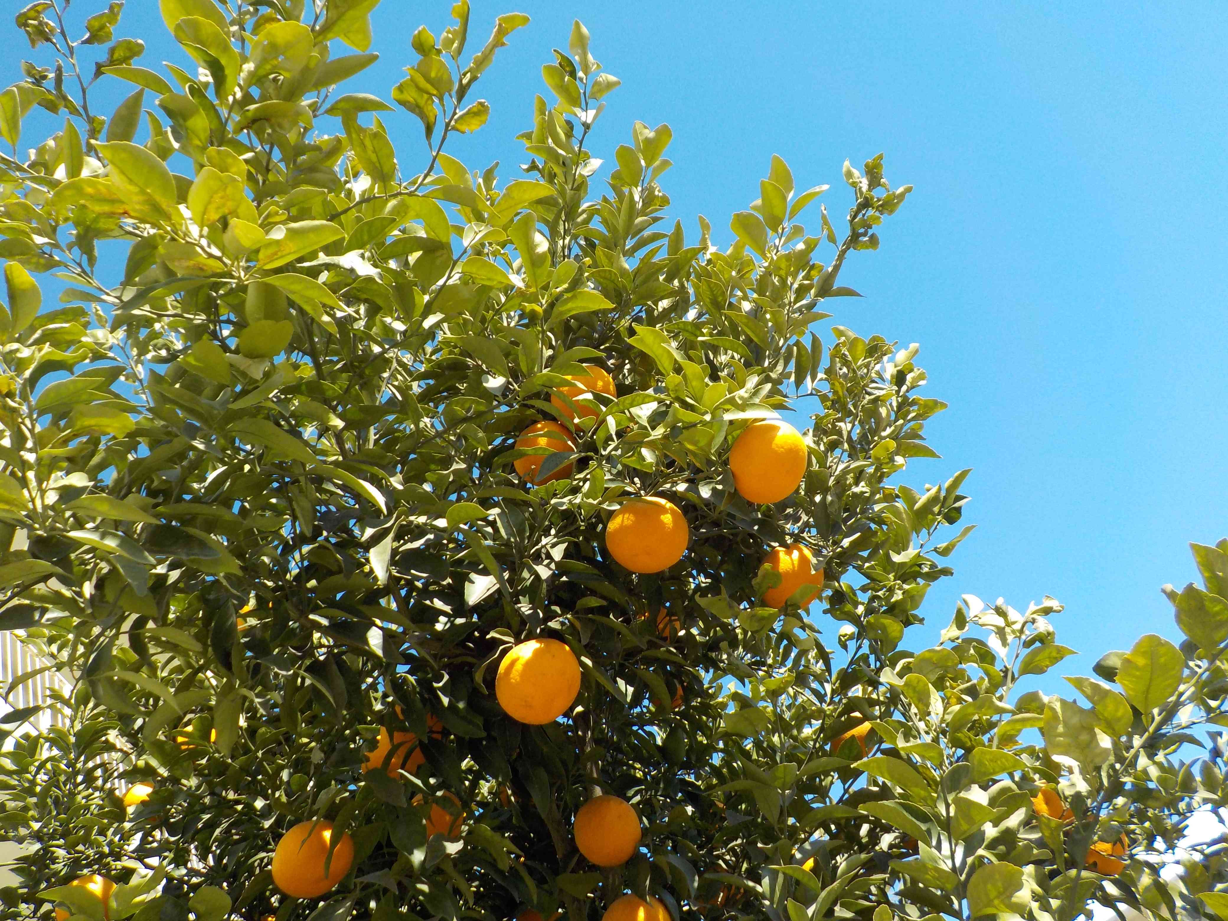 84ce0811-629b-4420-8eaa-5a89172c98d4